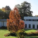 University of Exeter. Image: Derek Harper/Creative Commons