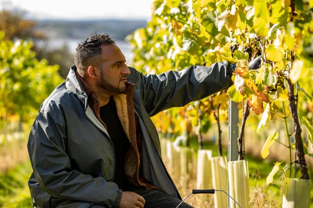 Michael Caines MBE inspecting the grapes at Lympstone Manor