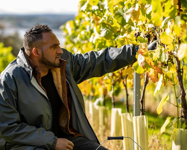 Michael Caines MBE inspecting the grapes at Lympstone Manor