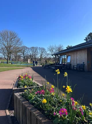 Park Cafe in Heavitree Pleasure Grounds, which has displayed work by more than 27 local artists since opening in 2021