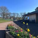 Park Cafe in Heavitree Pleasure Grounds, which has displayed work by more than 27 local artists since opening in 2021