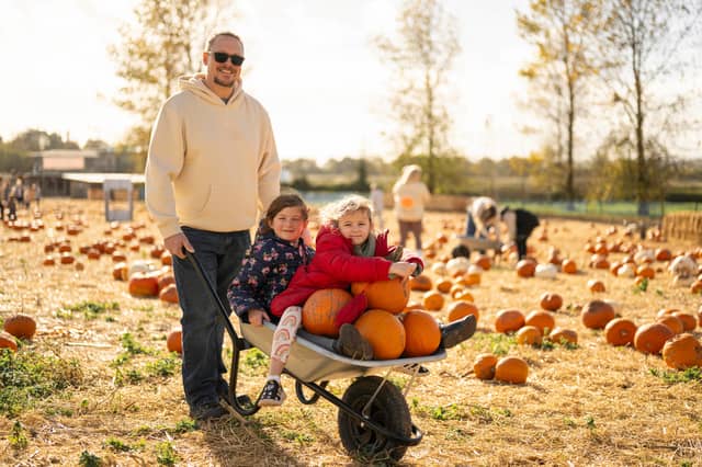Visitors can pick their favourite pumpkin from tens of thousands on display at Darts Farm's Pumpkin Fest, returning this October