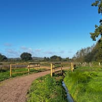 We visited Exeter’s newest green space and here’s why you should too