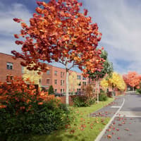 Former Clifton Hill Sports Centre site in Exeter could become more than 70 affordable ‘extra care’ homes