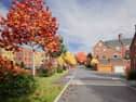 A graphic from the planning application showing the proposed layout of the development at Clifton Hill, Exeter