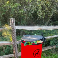 Council to empty dog waste bins more frequently after new park's ‘unexpected’ popularity left bins overflowing