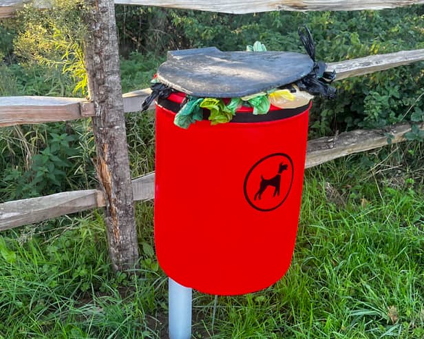 Dog waste bin collections at the park have been increased from one to three times per week