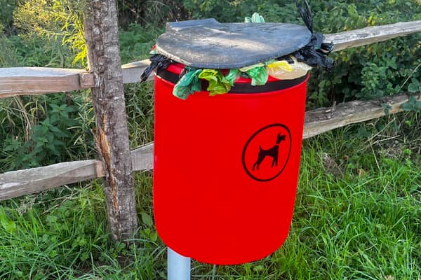 Dog waste bin collections at the park have been increased from one to three times per week