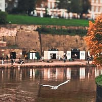 Entries open in the search for Exeter’s best autumnal tree photographer