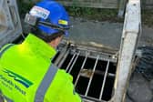 South West Water are urging customers to flush only the ‘three Ps’
