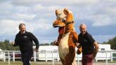 Racing is back! Exeter Racecourse opens 2025 jump season on Haldon Hill