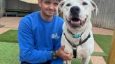Exeter RSPCA Worker heads to Sri Lanka to aid street dogs