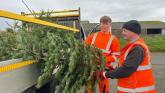 Hundreds of Christmas trees turned into &pound;28,625 for Devon children&rsquo;s hospice