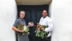 Visitors flock to the Taste East Devon Food Festival