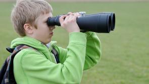 Unlock the secrets of wildlife photography