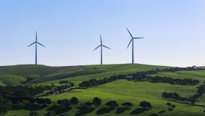 University of Exeter joins sustainable finance research alliance