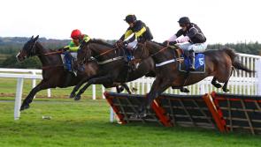 Haldon Gold Cup Day has moved