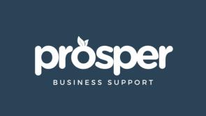 New free business support programme 