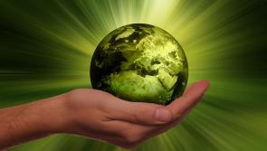 Exeter students get hands on with global sustainability challenges