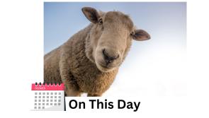 School children discover intruders looking sheepish