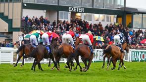 Raise a glass at Exeter's Festive Raceday