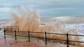 Local climate adaption strategy launched