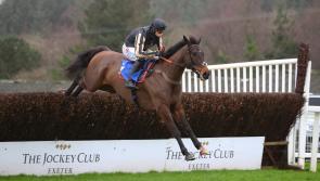New Year's Day racing at Exeter