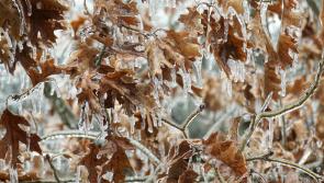 Warning to take care in cold weather 
