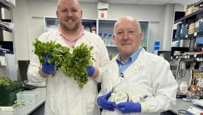 Watercress company looks set to grow!