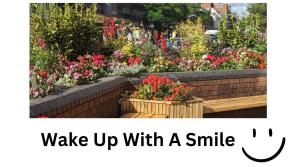 Mini 'parks' plan for the city