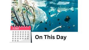 Devon academics revealed microplastics research 