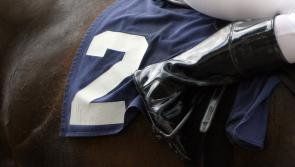 Newton Abbot race day dates announced