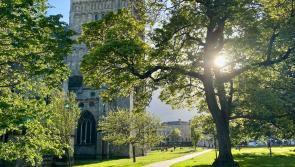 What's on this weekend and beyond in Exeter 