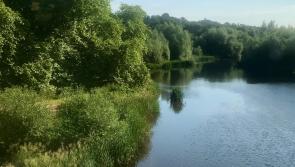  £1m investment to protect endangered eels