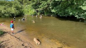 Enjoy National Nature Reserves Week