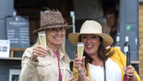 WHAT'S ON IN EXETER THIS WEEKEND