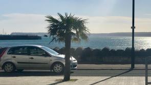 Councils seek clarity over combined authority plan 
