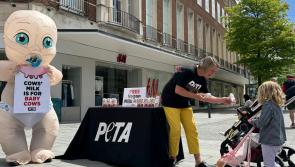 Dairy milk protest staged in Exeter