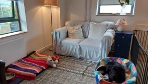 Showhome furniture sale raises thousands for charities