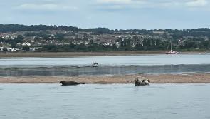 Speeding boat owners defy estuary patrols