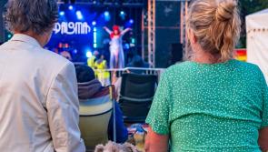 5 fun things to do this weekend in Devon: dog festival, huge gigs, global food markets, gardens, and where to watch the footie