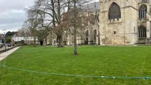 Exeter Cathedral to host hustings 