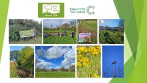 Cranbrook Country Park granted Green Flag Award 
