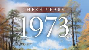 Book review: These Years: 1973 by RNF Skinner