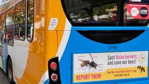 Exeter bus lane plans get the red light