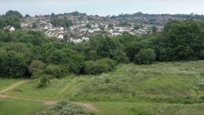 Praise for Exeter's parks
