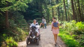 Forest 15 minutes from Exeter named one of the UK's best