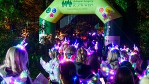 Moonlight Memory Walk at Powderham Castle 