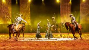 Don't miss the Festival of the Iberian Horse 