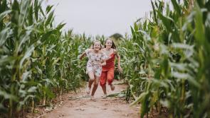 5 fun things to do this weekend in Exeter